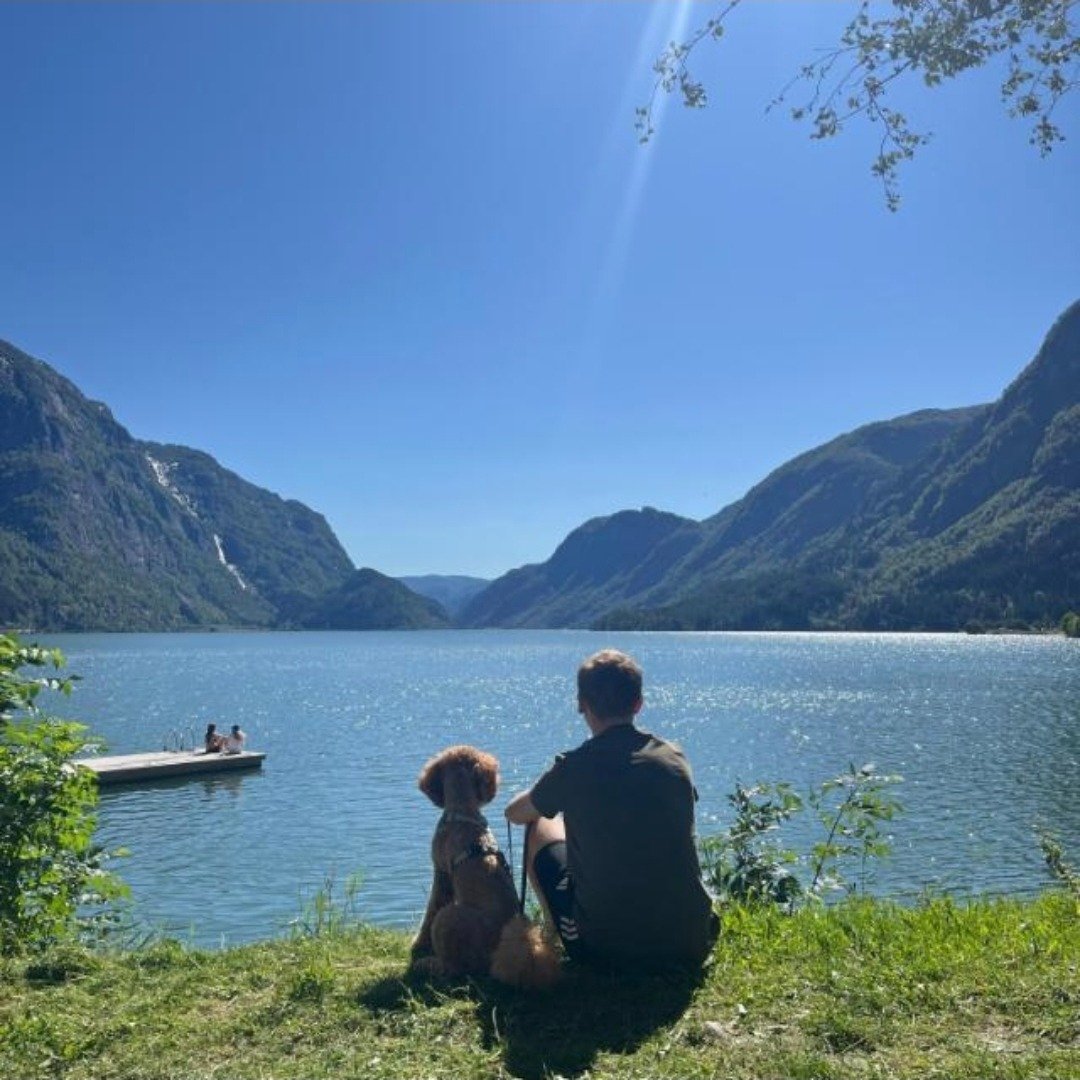 Instagram Profilbild von bennoisonfire
