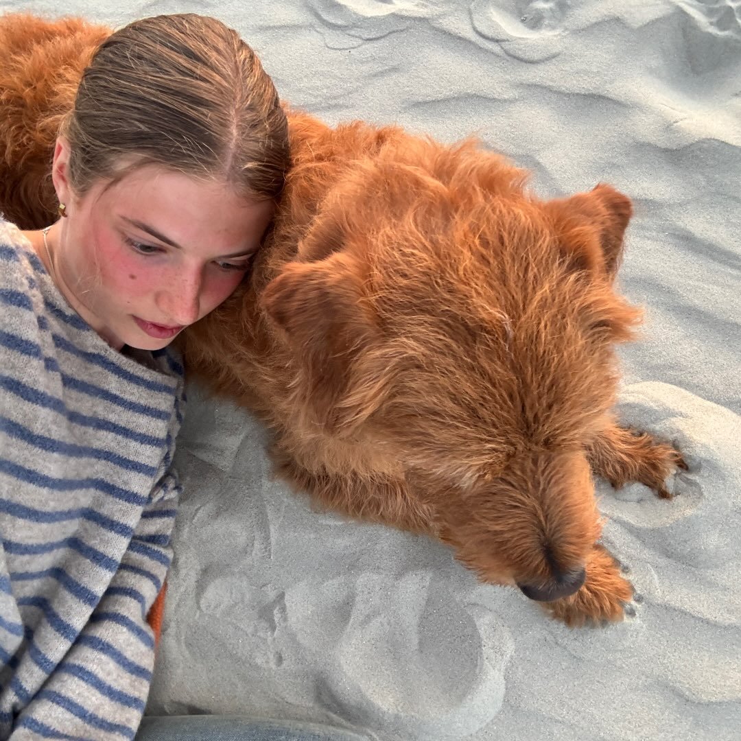 Instagram Profilbild von juliemmaluisa
