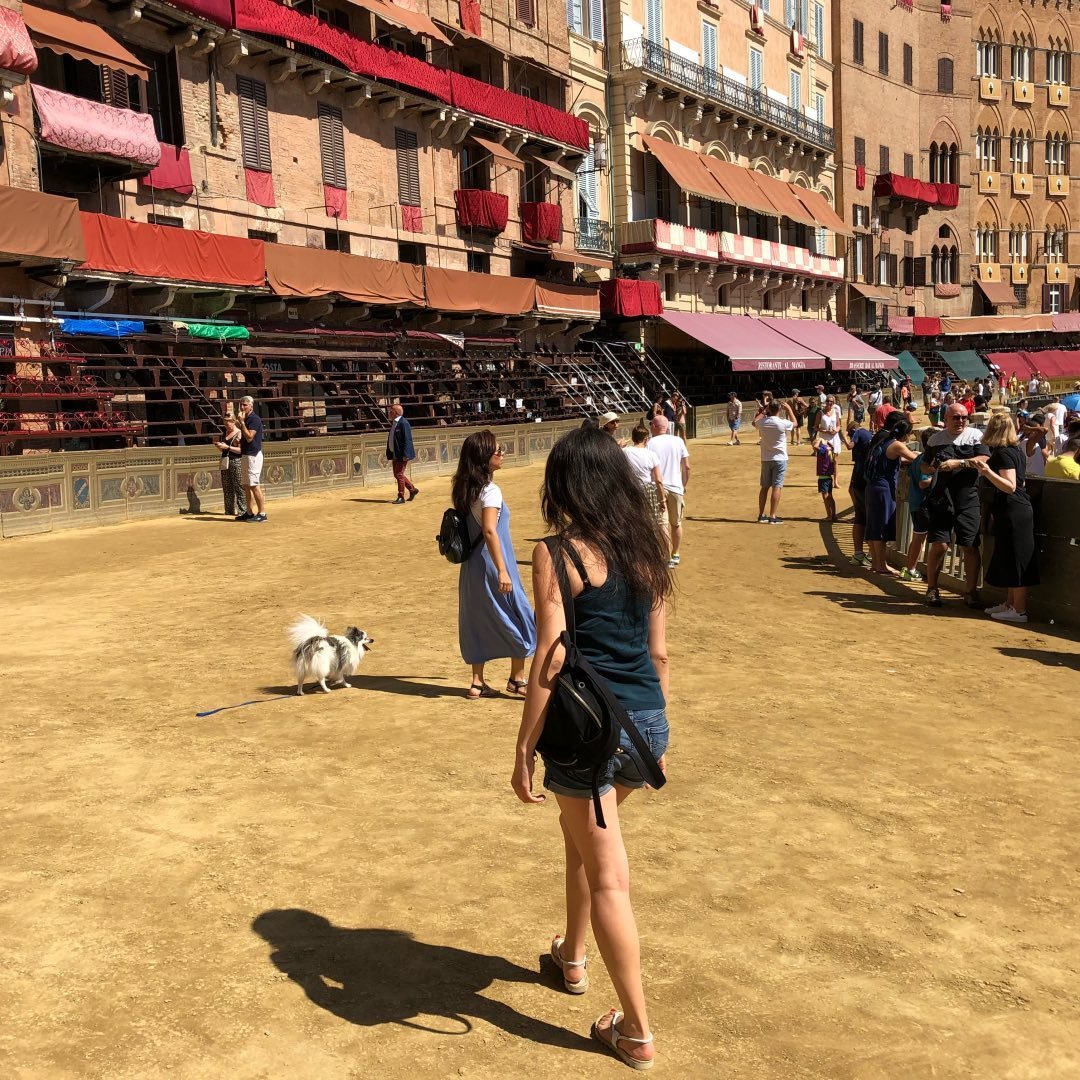 Instagram Profilbild von gulay139139