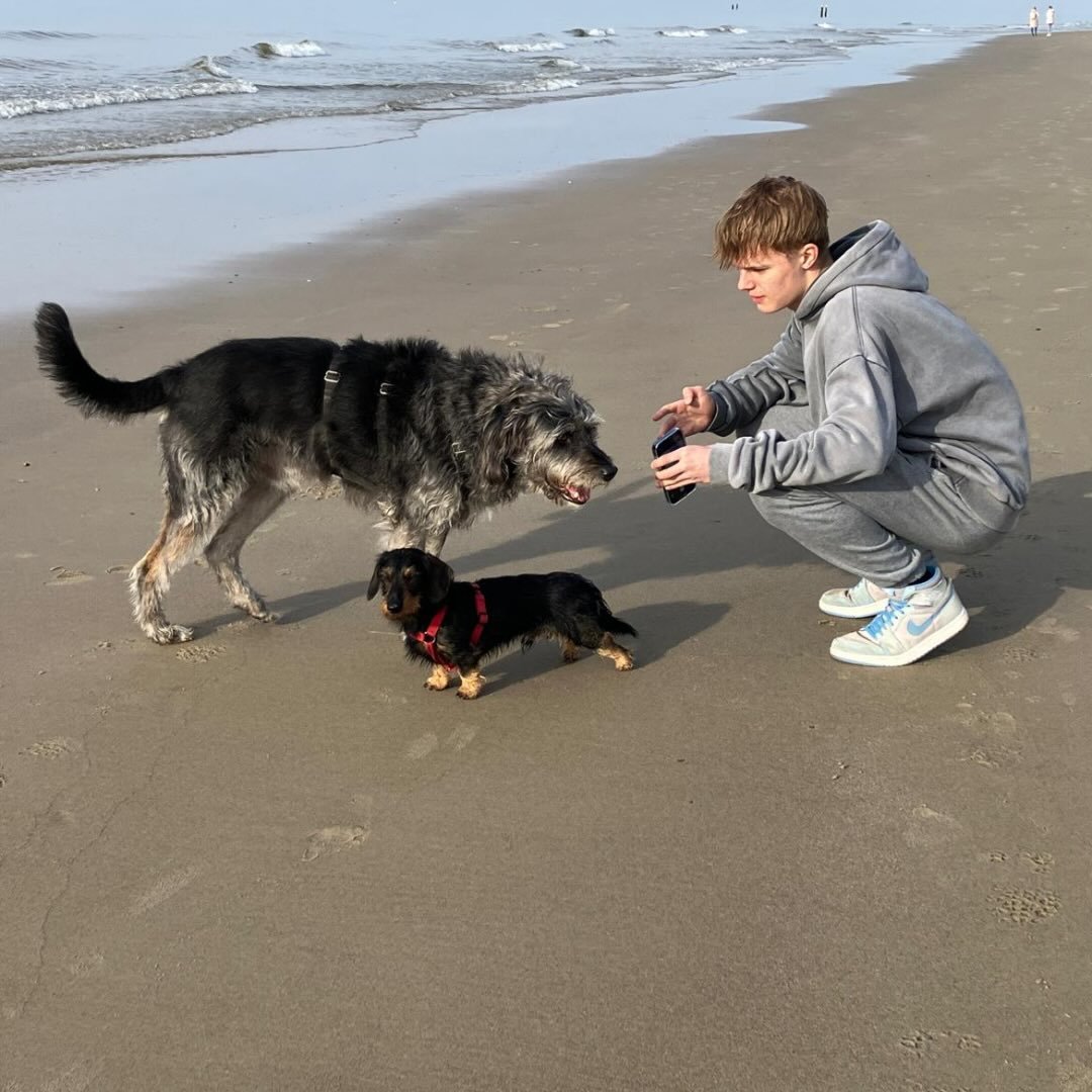 Instagram Profilbild von jonas.hnckr