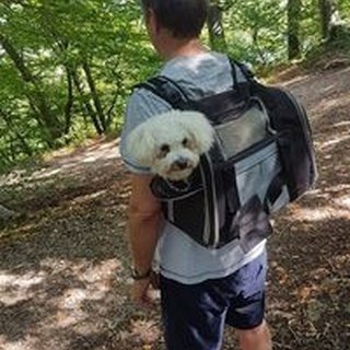 Instagram Profilbild von wolfgangspringerofficial
