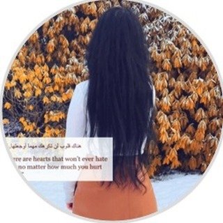 Instagram Profilbild von sipel.sh