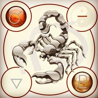 Instagram Profilbild von ferancova