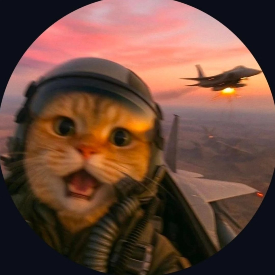 Instagram Profilbild von mishelman