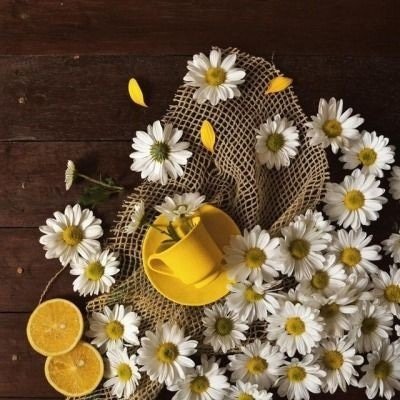 Instagram Profilbild von derya.daa