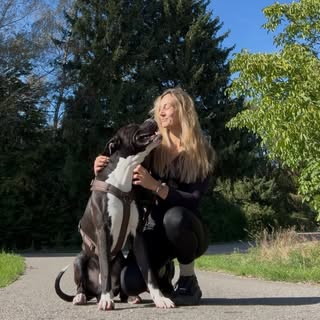 Instagram Profilbild von sinarsner