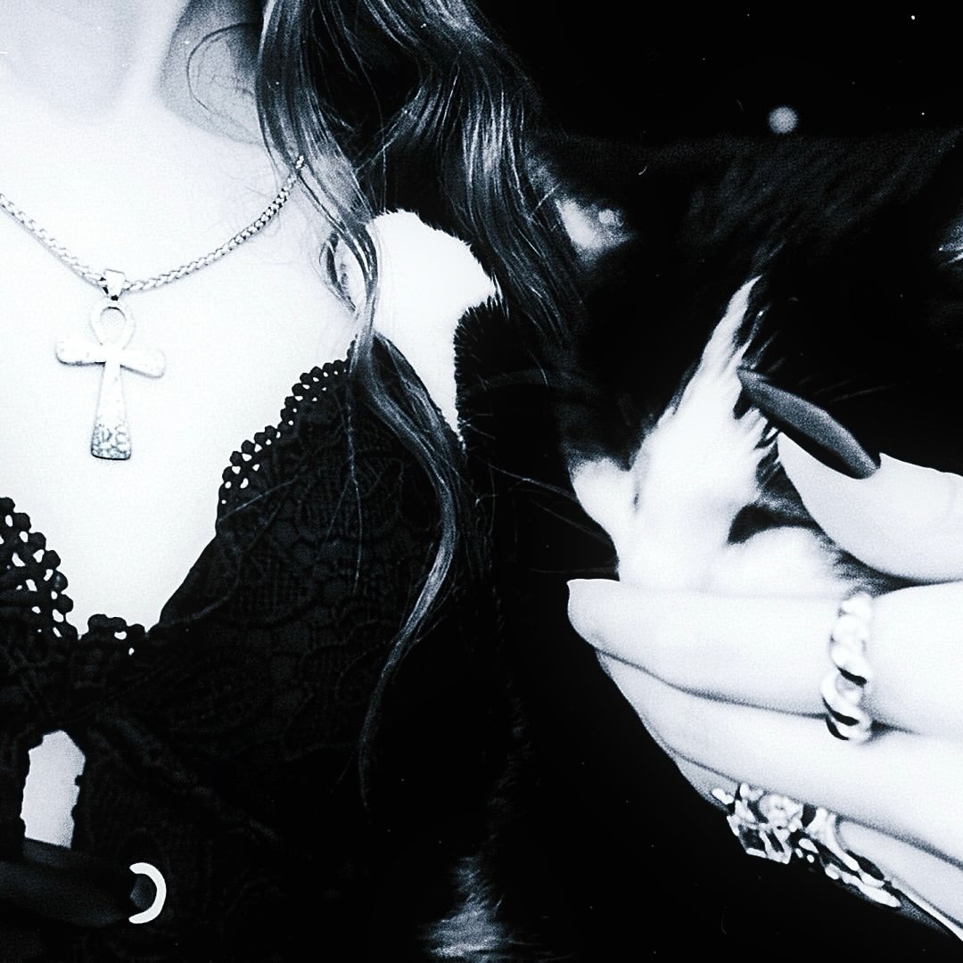 Instagram Profilbild von nkvlia