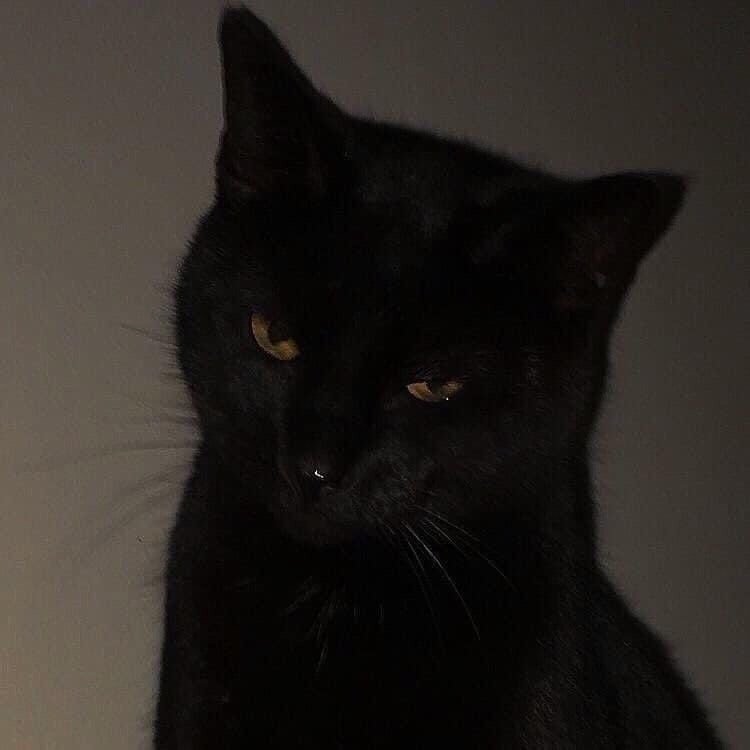 Instagram Profilbild von schwesterihrerklasse