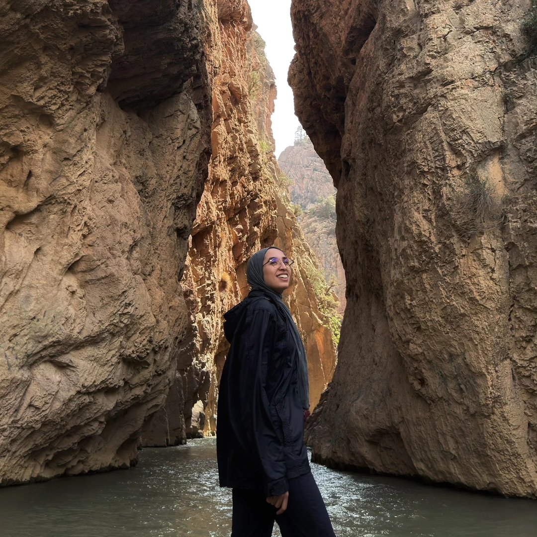 Instagram Profilbild von wiam_habiballah