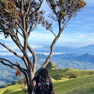 Instagram Profilbild von aksarmd_