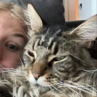 Instagram Profilbild von leonie.1_25