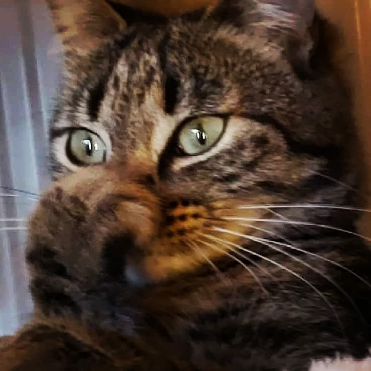 Instagram Profilbild von selinablg