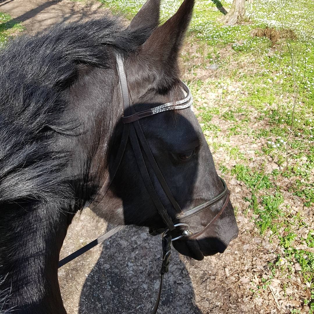 Instagram Profilbild von doreen.reh