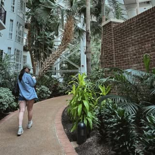 Instagram Profilbild von alexa.maierhofer
