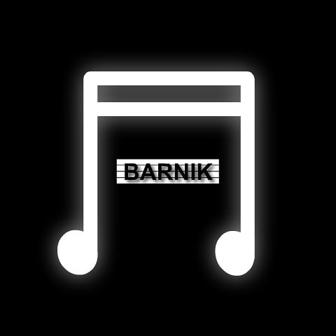 Instagram Profilbild von barnik_music