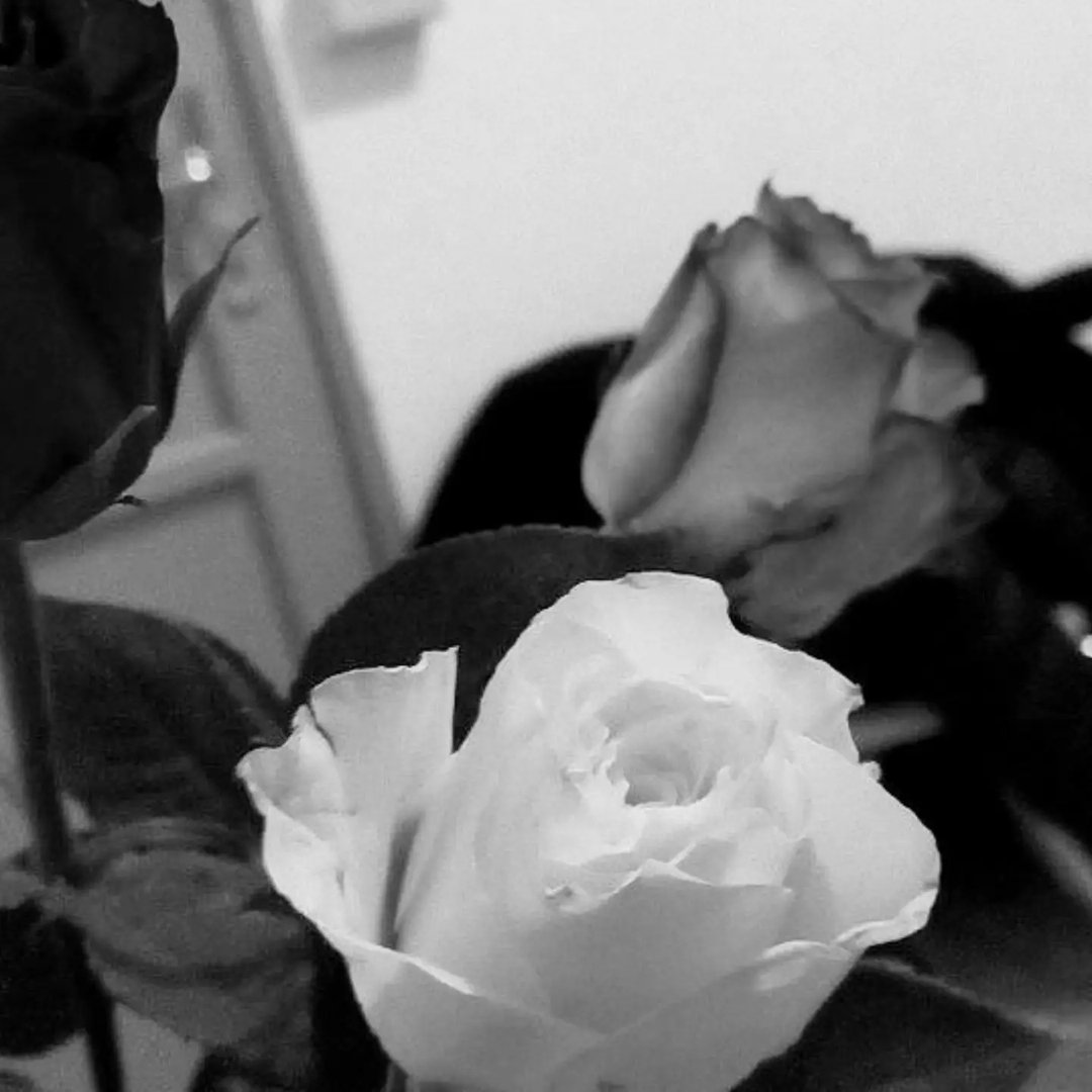 Instagram Profilbild von lunarie_verse