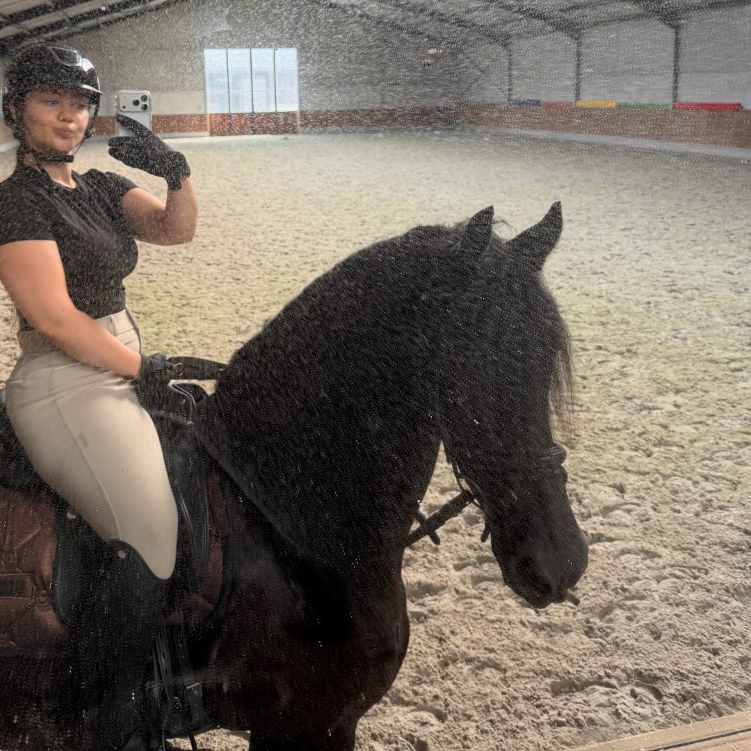 Instagram Profilbild von framez.equine