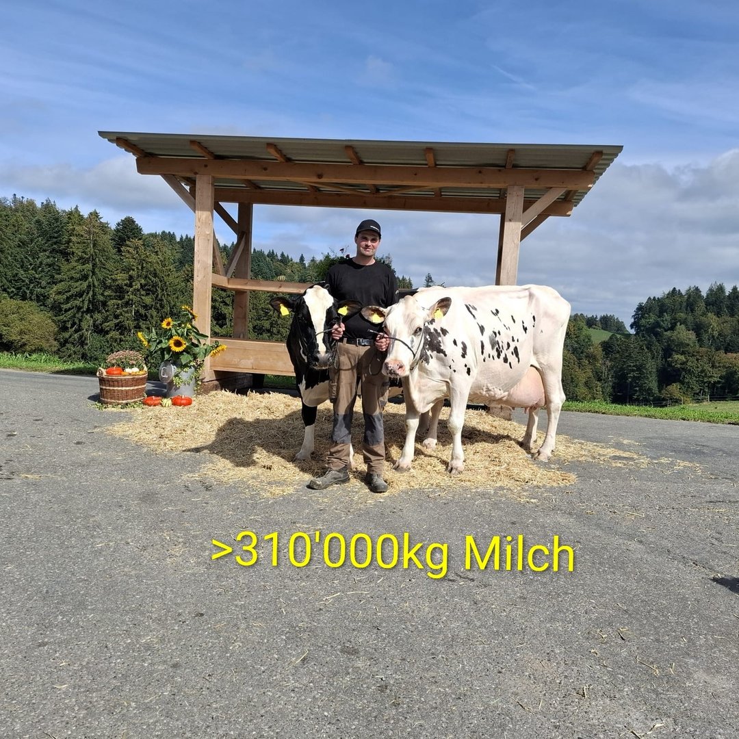 Instagram Profilbild von _baernurentsch_