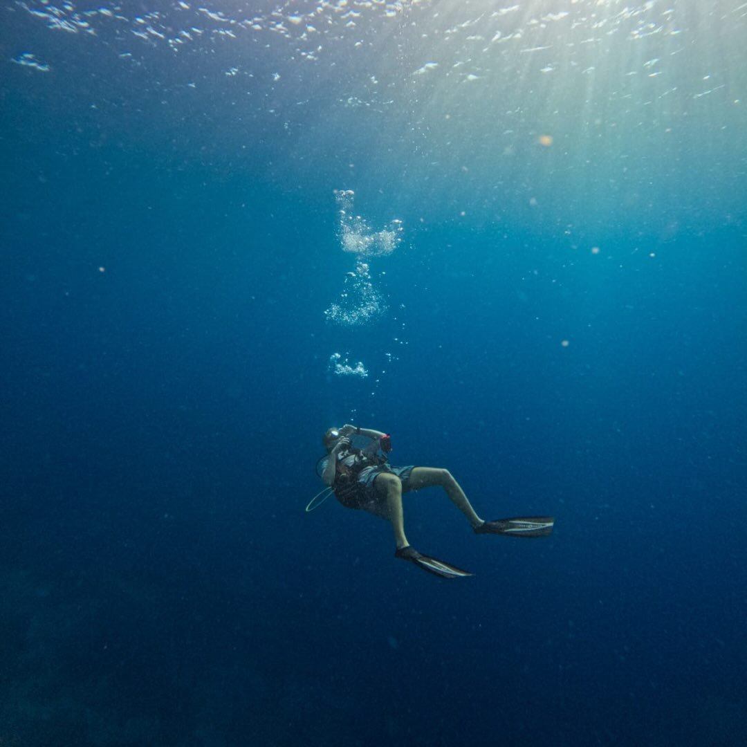 Instagram Profilbild von jonathan.wrn