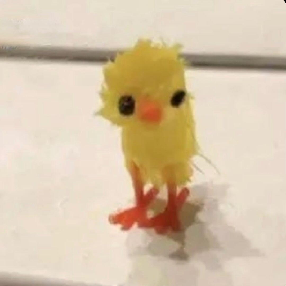 Instagram Profilbild von chanarrator