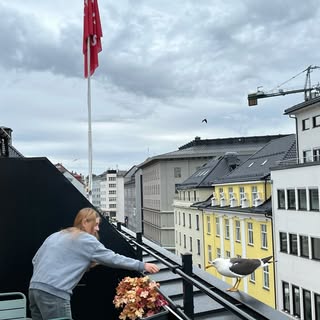 Instagram Profilbild von brn_vicky