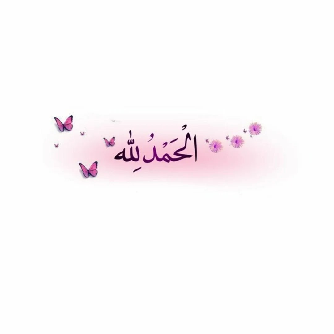 Instagram Profilbild von binte_hussain2002