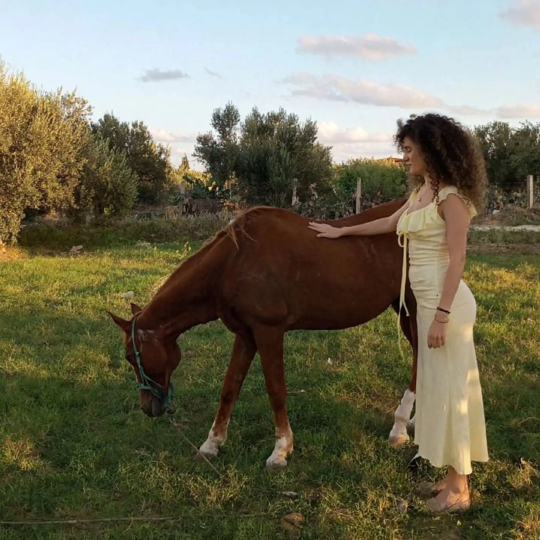 Instagram Profilbild von ibtihellkortas