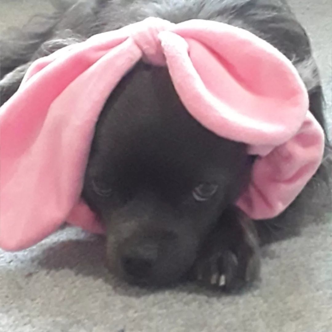 Instagram Profilbild von tobi_lng