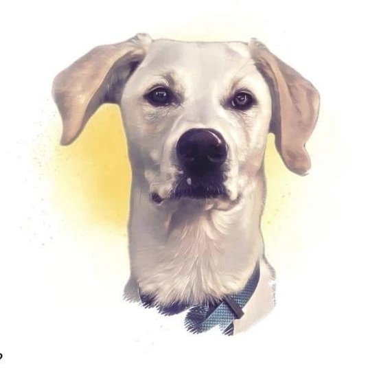 Instagram Profilbild von eric.kimbo_instadogs