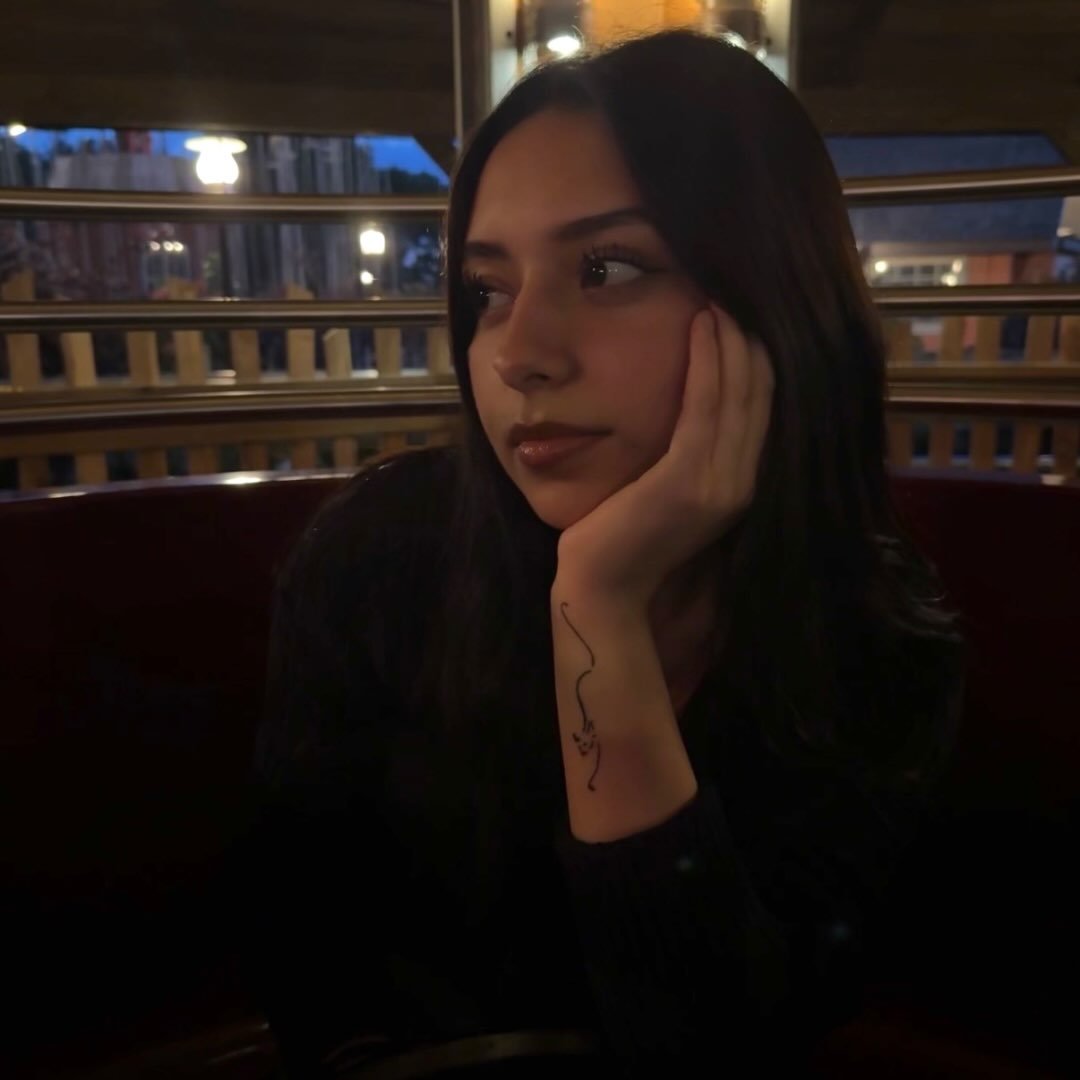 Instagram Profilbild von ilyhills_