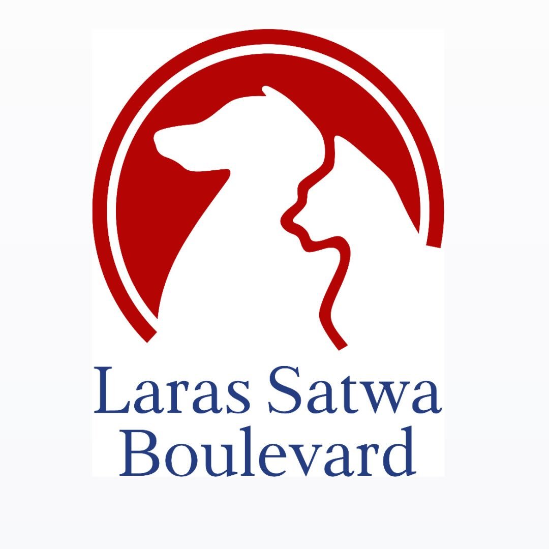 Instagram Profilbild von larassatwa.boulevard