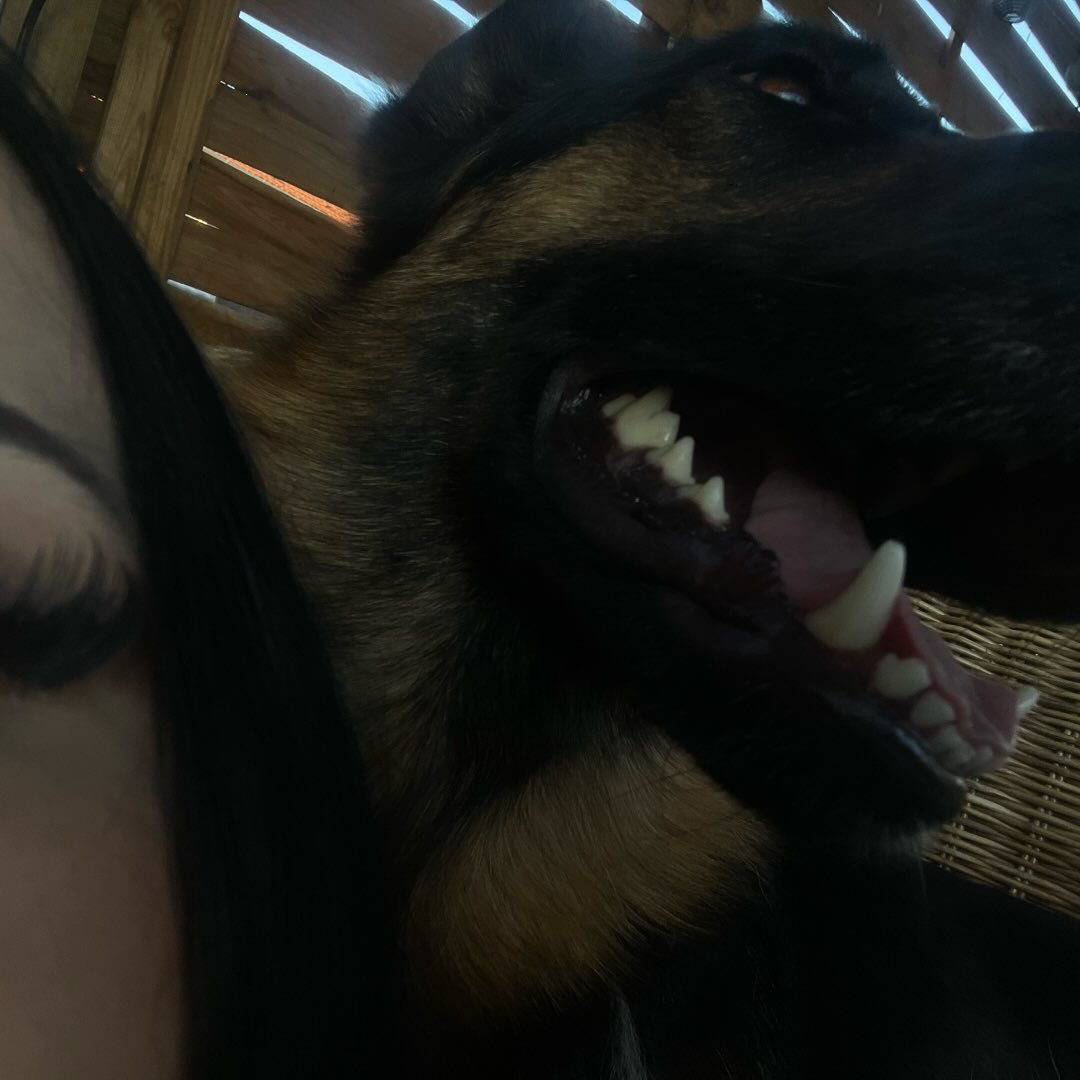 Instagram Profilbild von yvialina