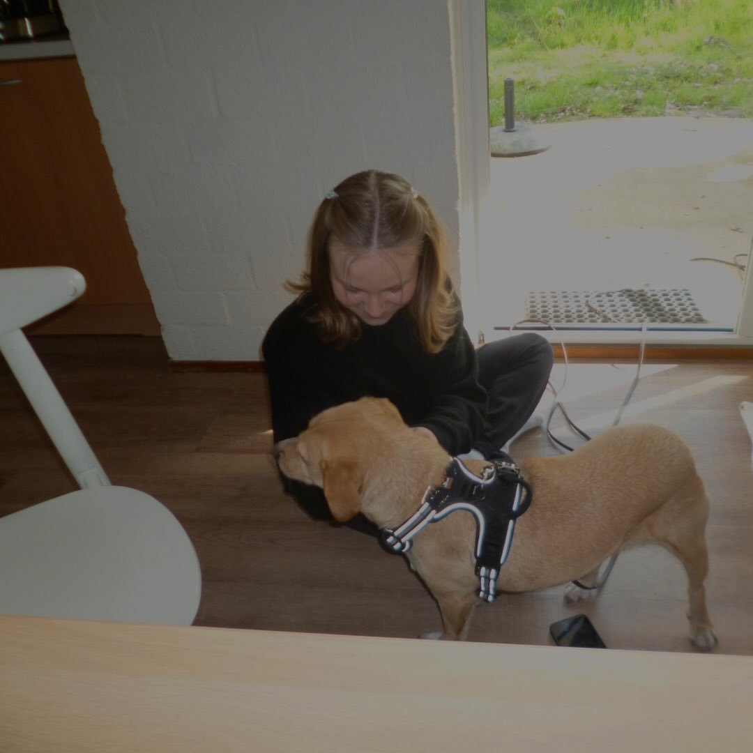 Instagram Profilbild von ninamxarie