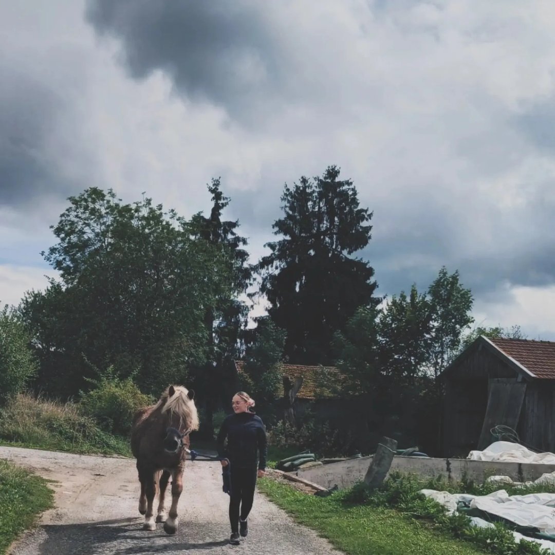Instagram Profilbild von pointingerhanna