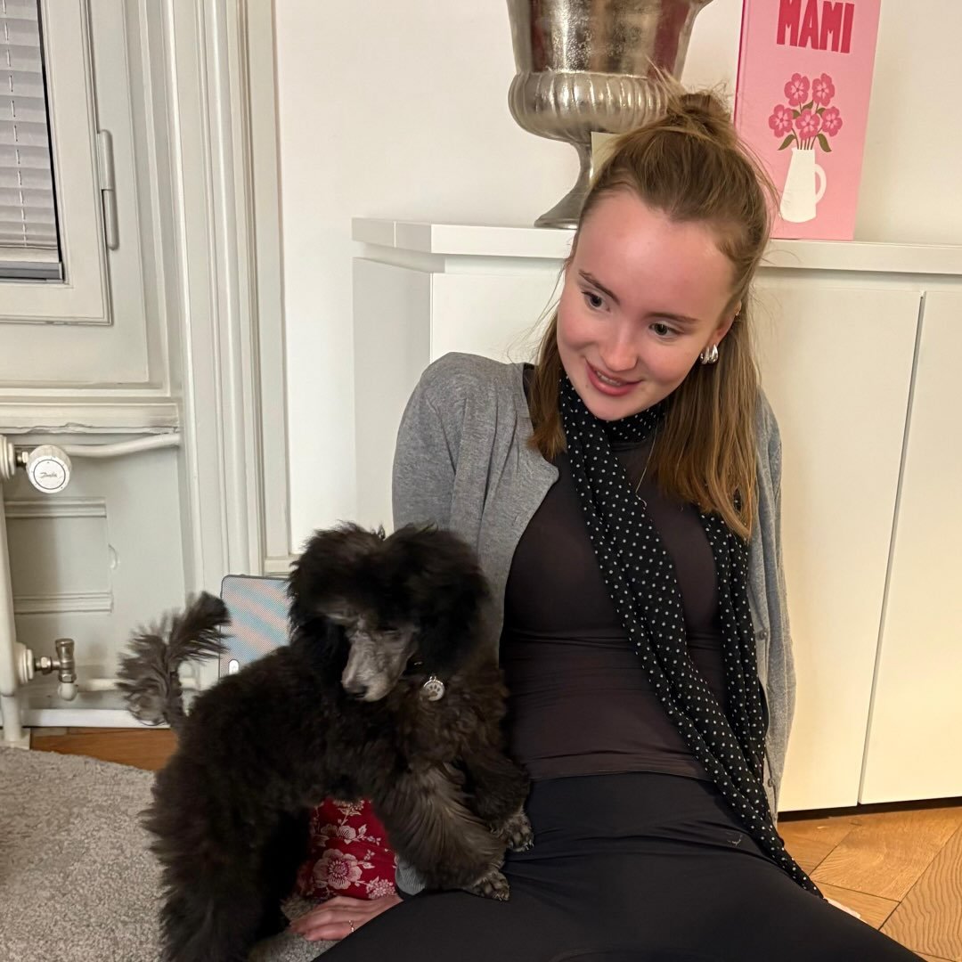 Instagram Profilbild von jaelefant