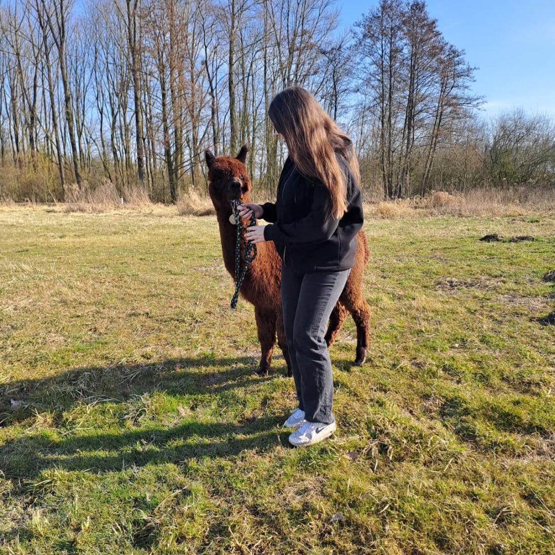 Instagram Profilbild von annaa.bxs