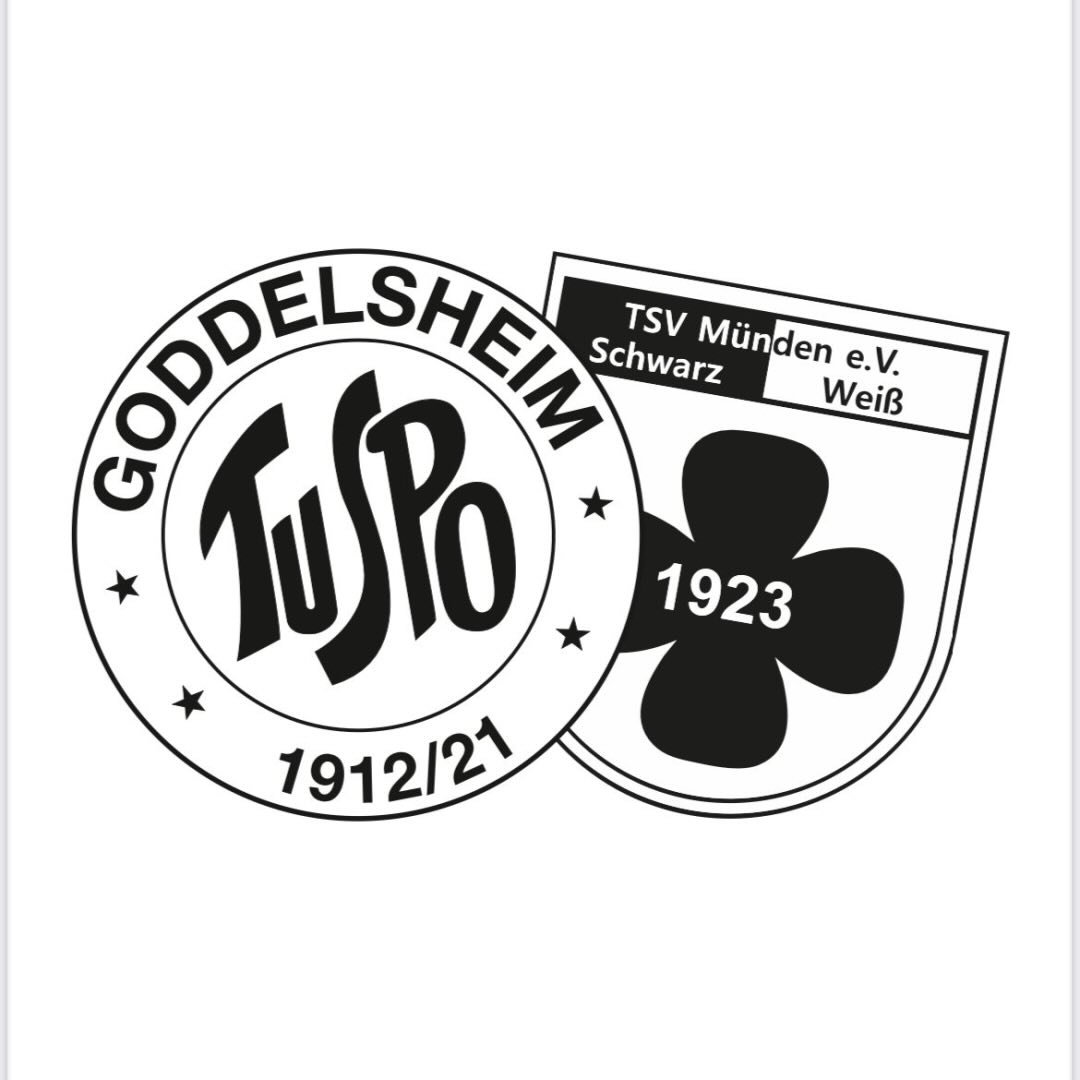Instagram Profilbild von sggoddelsheimmuenden