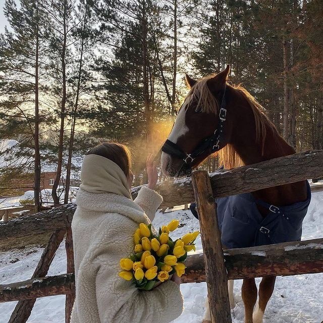 Instagram Profilbild von sulaf.ms