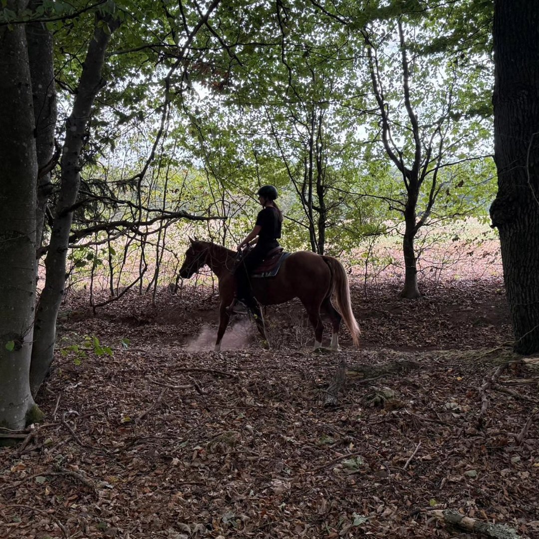 Instagram Profilbild von helen.8.6