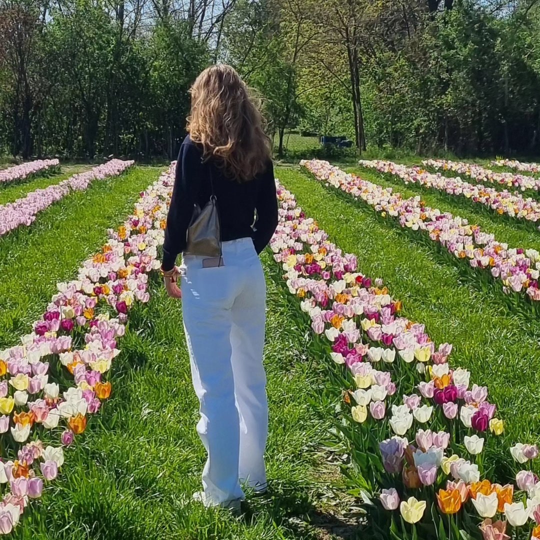Instagram Profilbild von alissa.plange
