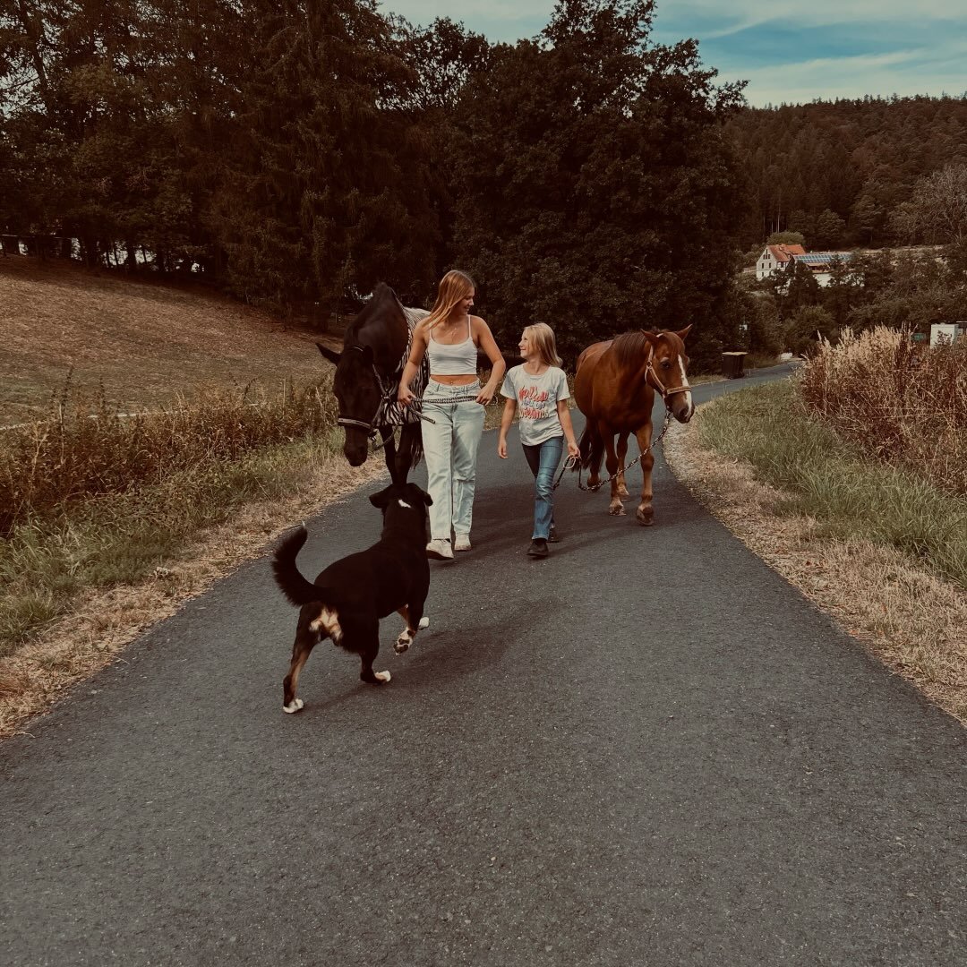 Instagram Profilbild von lucie_privatshitt
