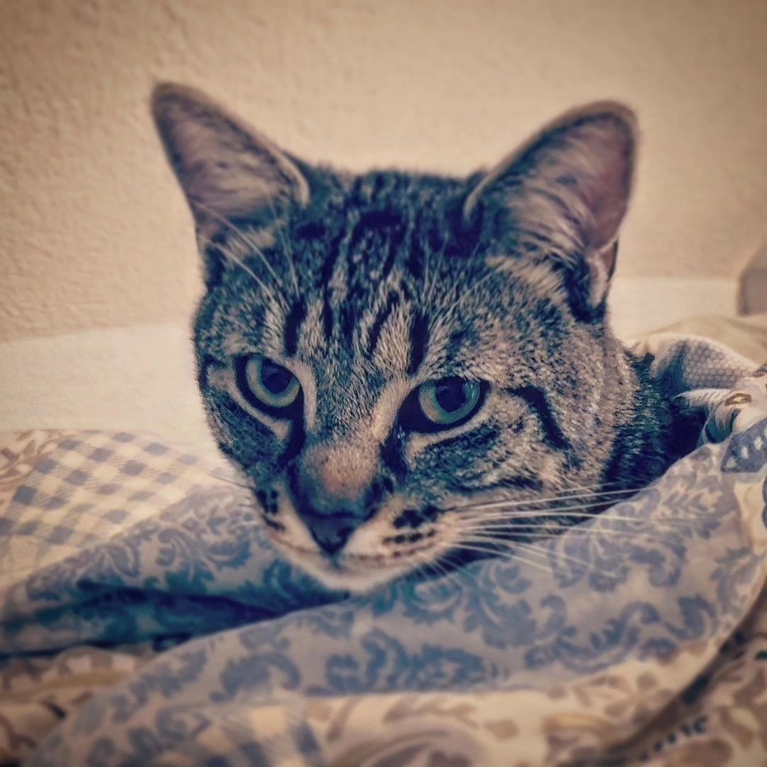 Instagram Profilbild von kazimpzz