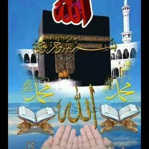 Instagram Profilbild von anidmustafa