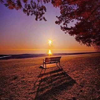 Instagram Profilbild von sami_mmg