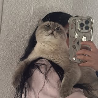 Instagram Profilbild von 66byza