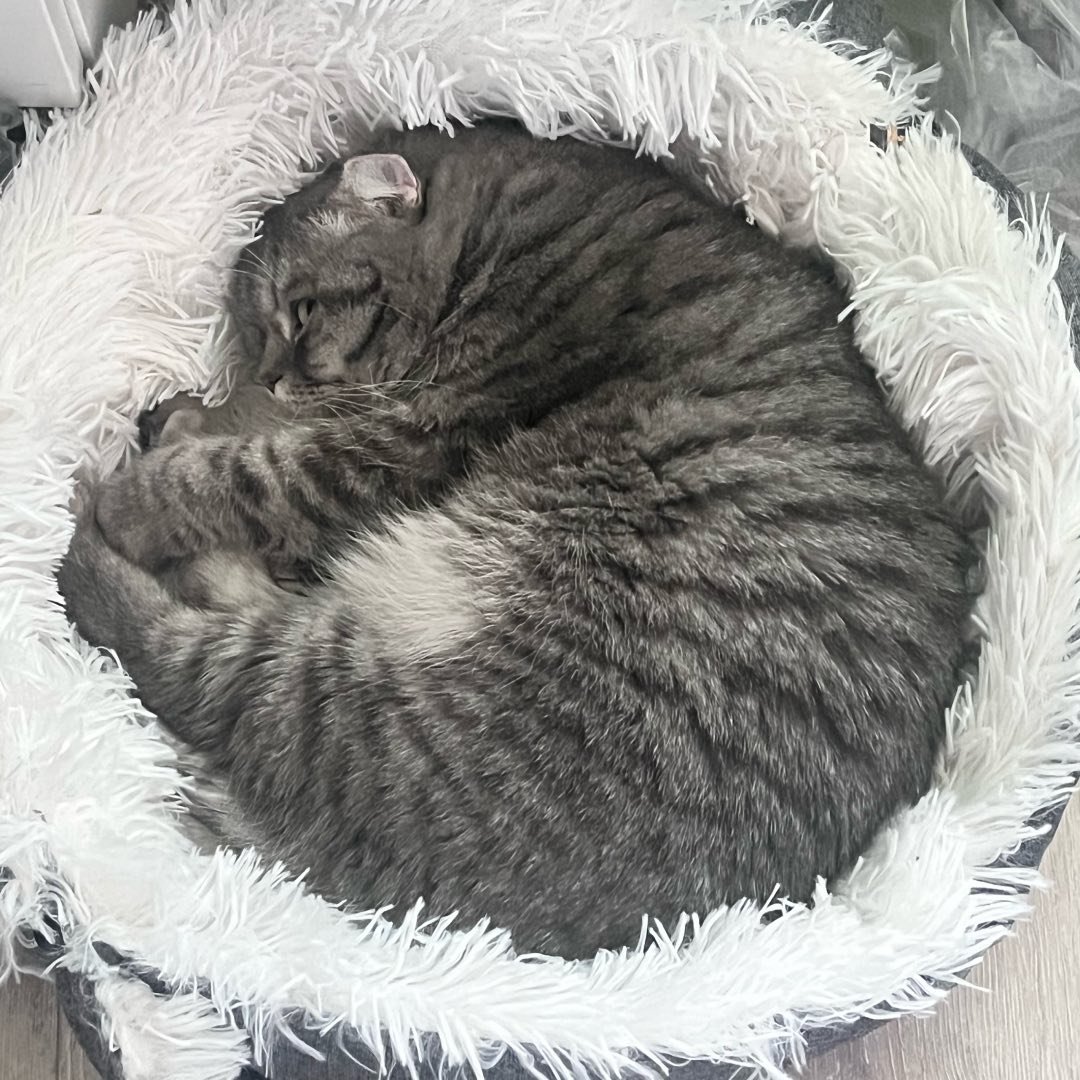 Instagram Profilbild von lunyast