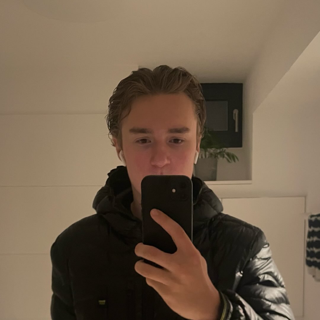 Instagram Profilbild von niki_hck