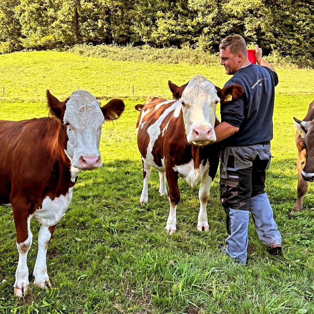 Instagram Profilbild von schlagi00