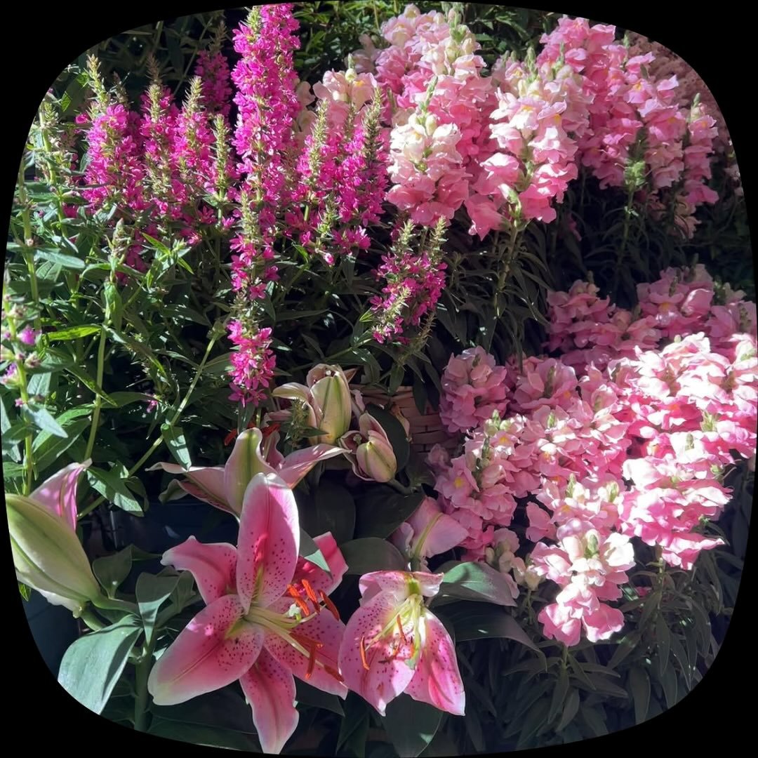 Instagram Profilbild von nrh.07