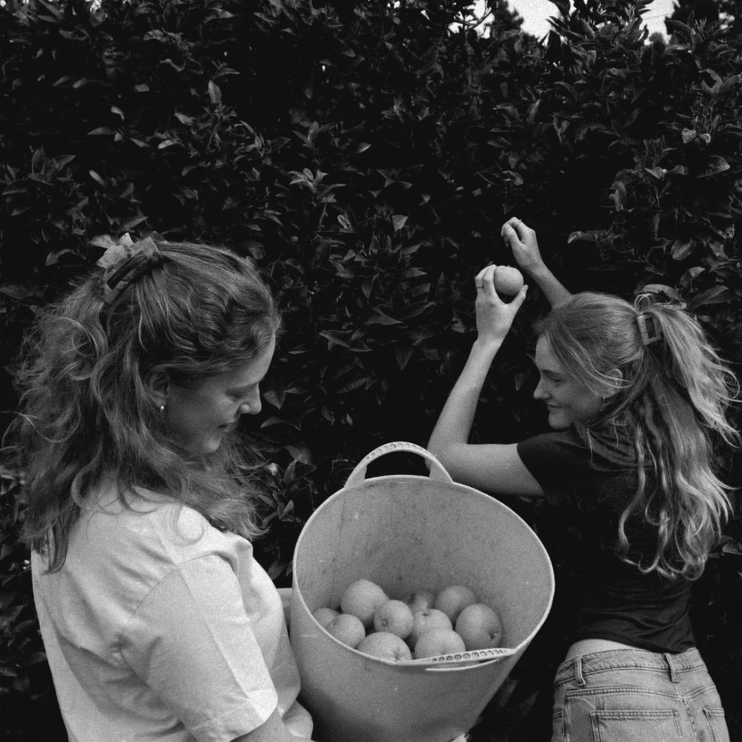 Instagram Profilbild von lena.sinnemann